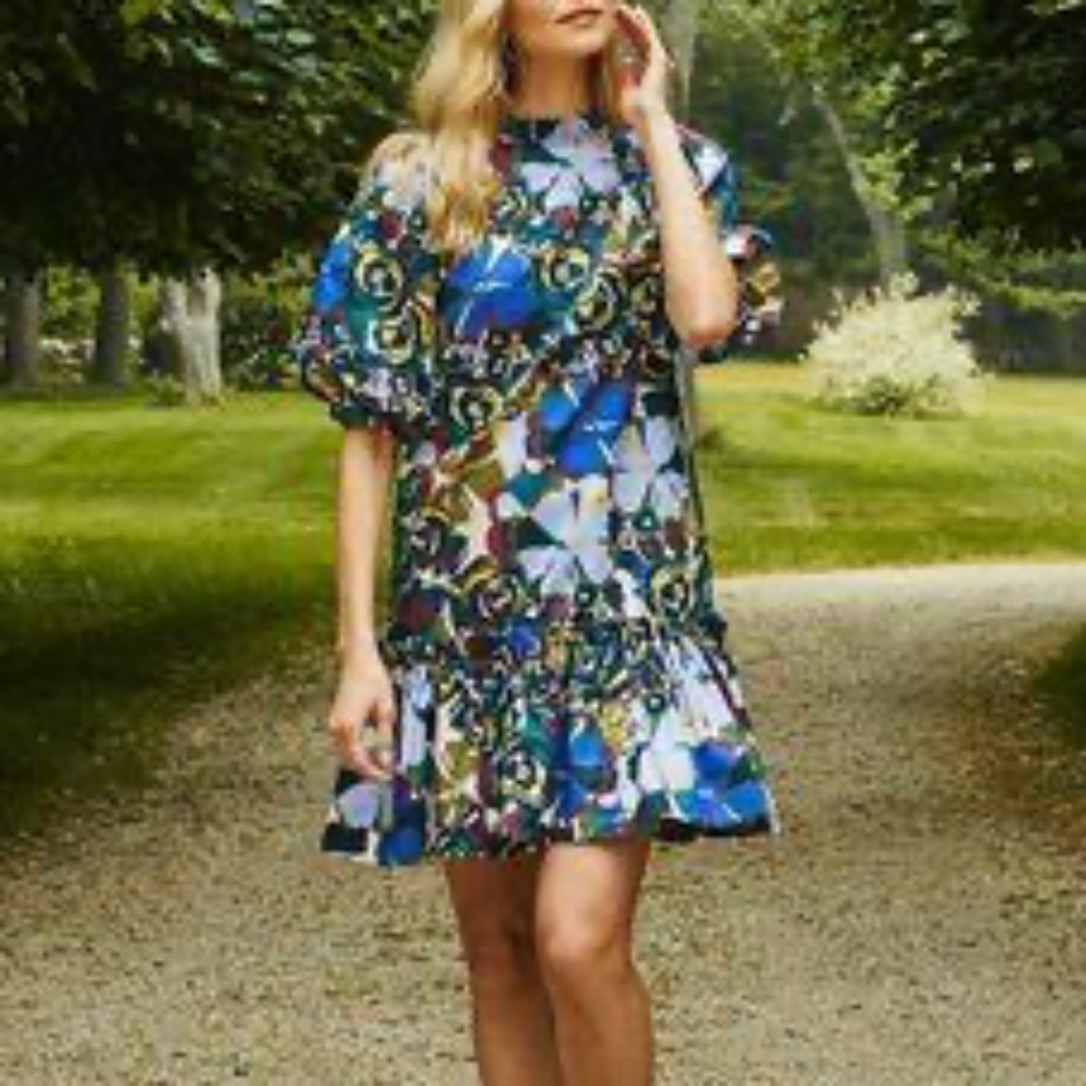 NWT Tyler Boe Sammy Floral Skimmer dress